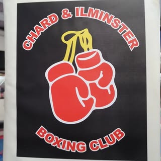 boxing gloves logo