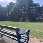 bench in the park