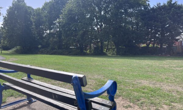 bench in the park